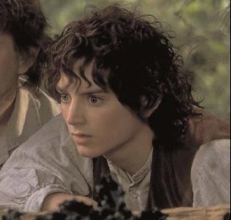 [frodo.htm]
