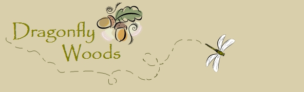 Dragonfly Woods