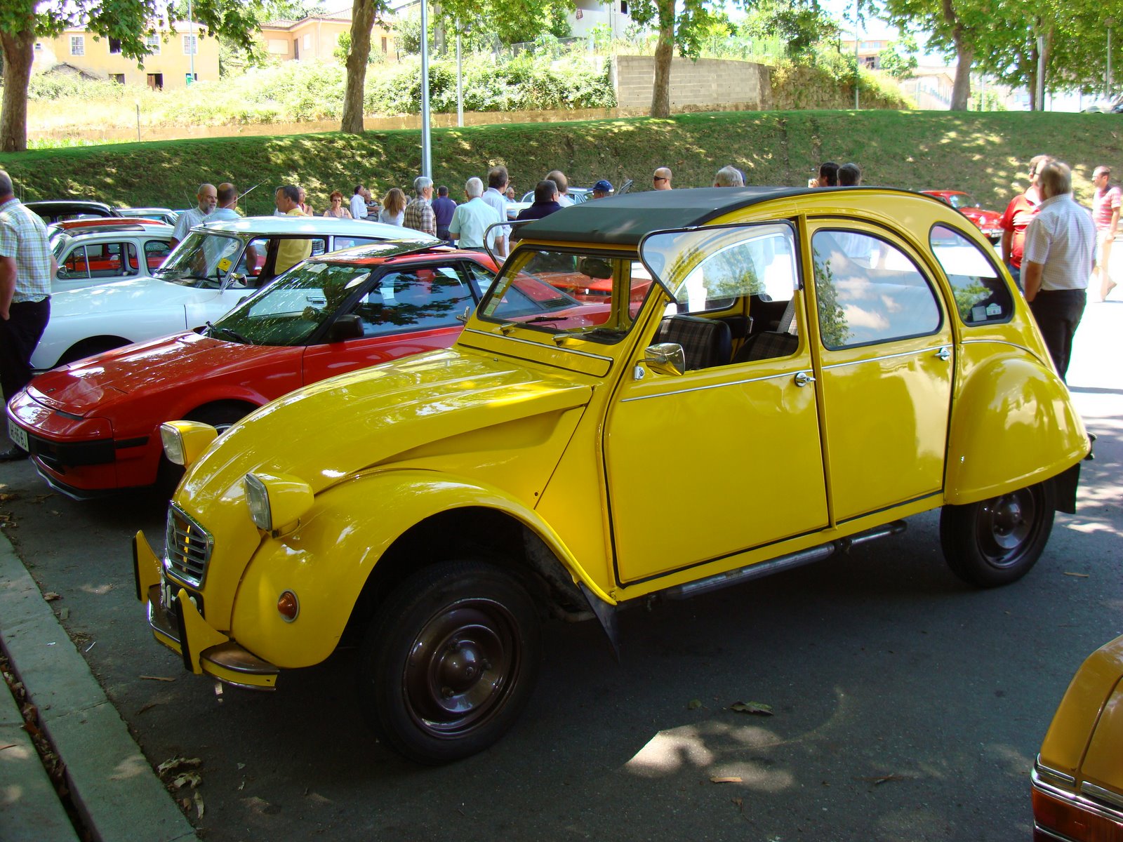 [DSC04232.JPG]
