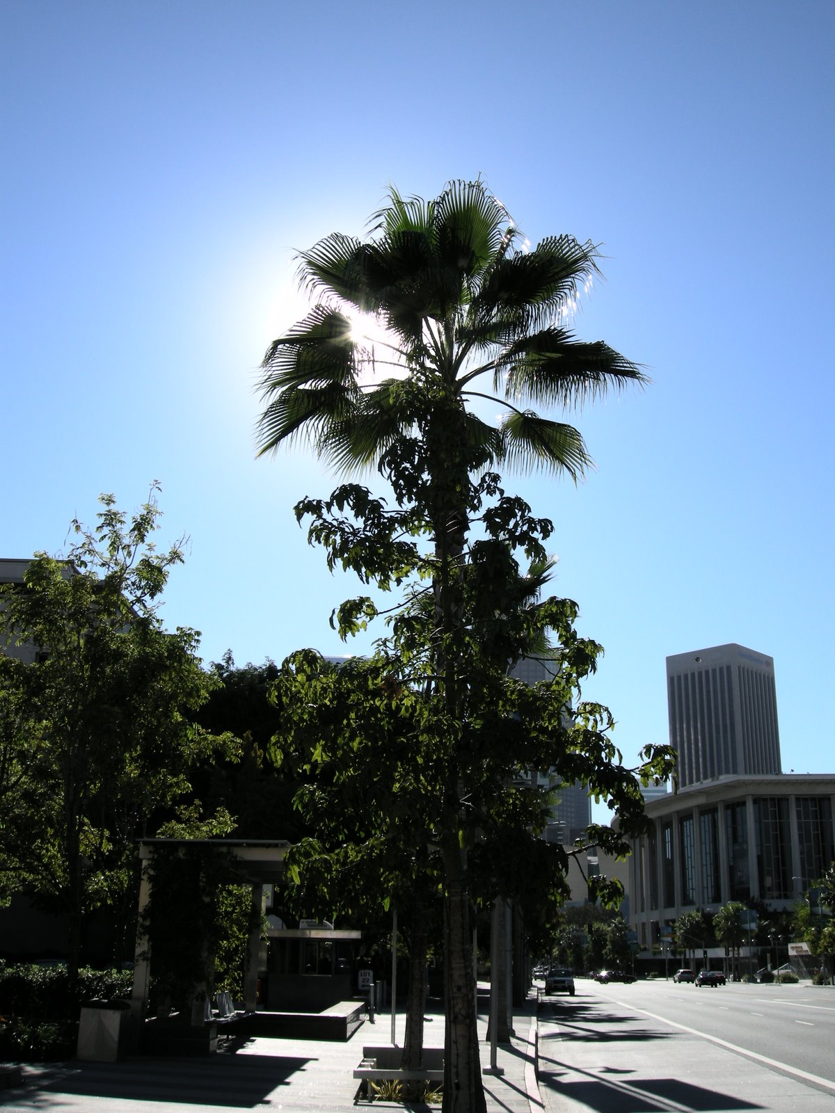[DSCN0181.JPG]