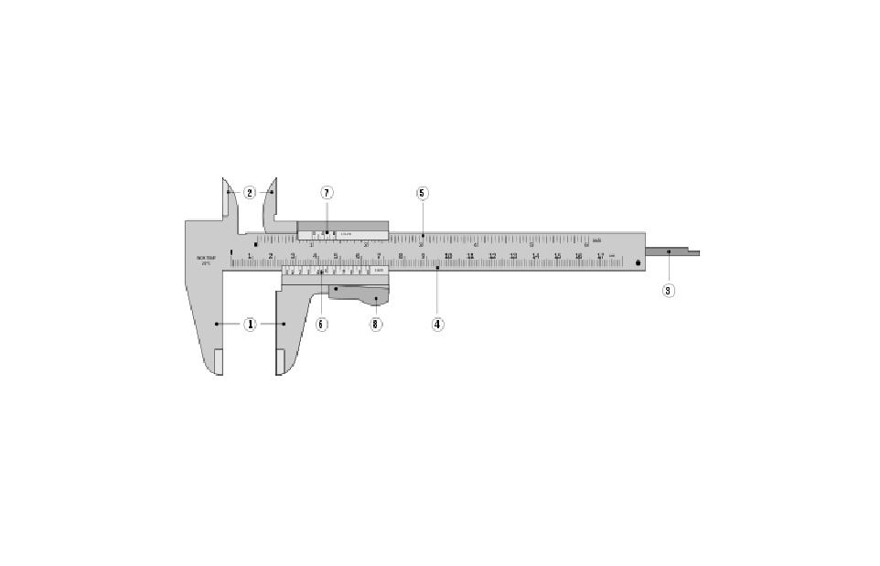 Miriam Borjas pie de rey