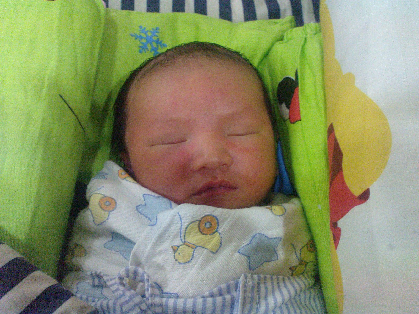 [DSC00148.JPG]