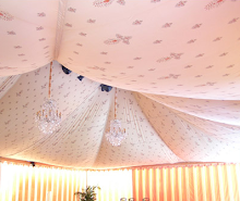 fairy ceilings