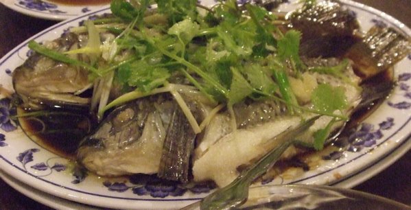 [DSCF2470.jpg]