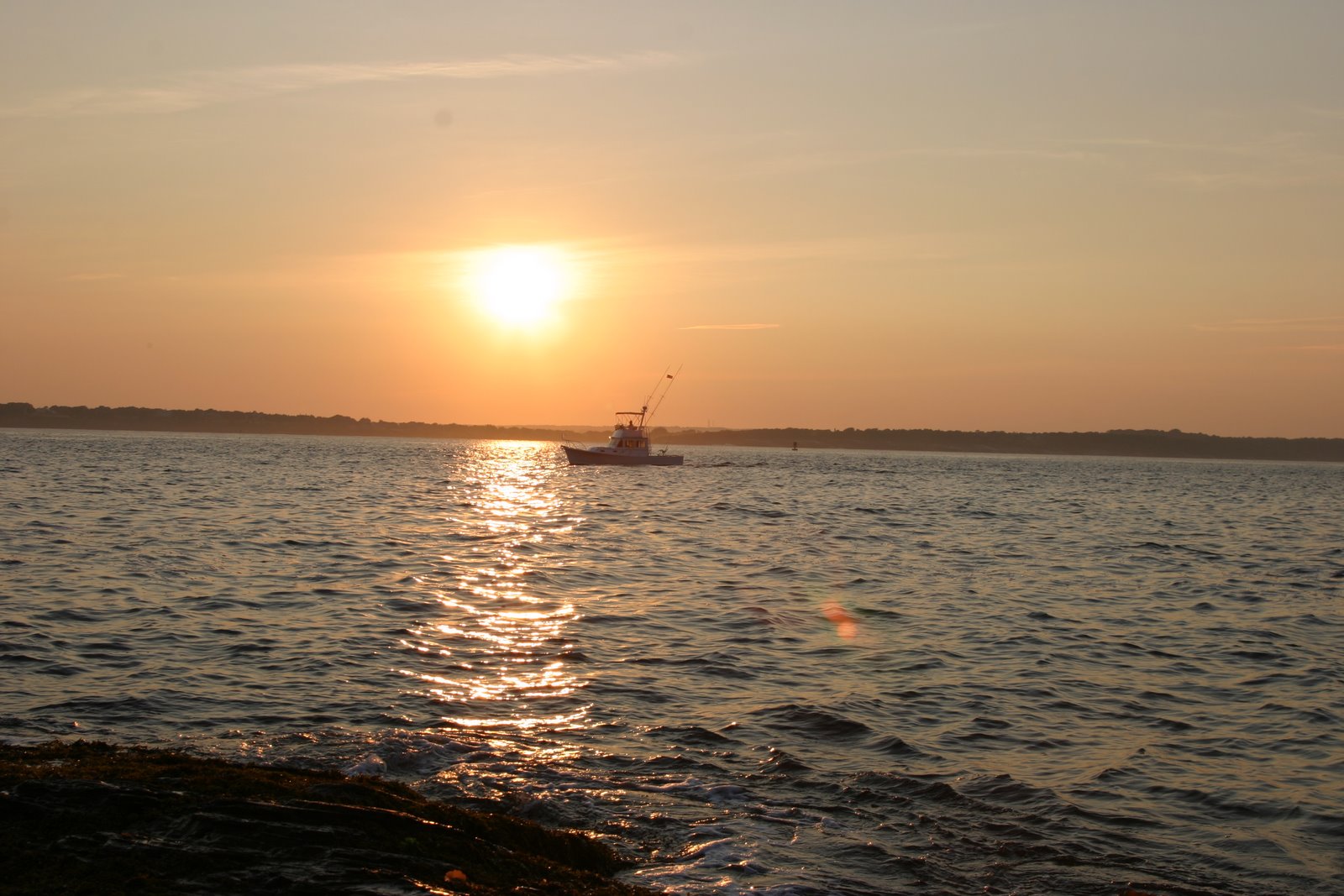 [IMG_3515.JPG]