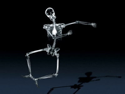 Funny X-ray Pictures Of Skeletons Funny X-ray Pictures Of Skeletons