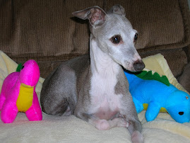 GOD'S LITTLE BLESSING