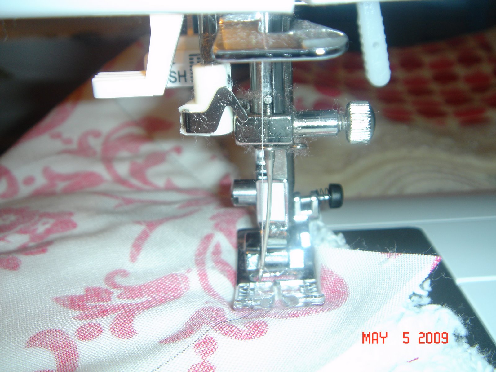 [DSC02844.JPG]