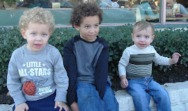 My 3 grandsons