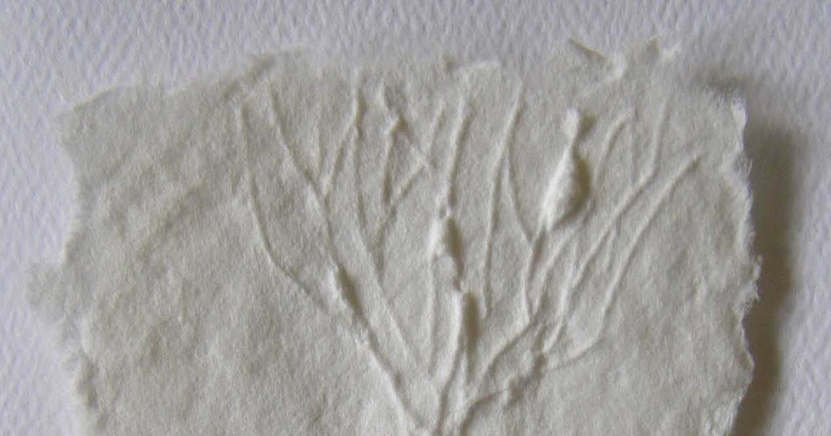 art vein vessel cast paper fragments