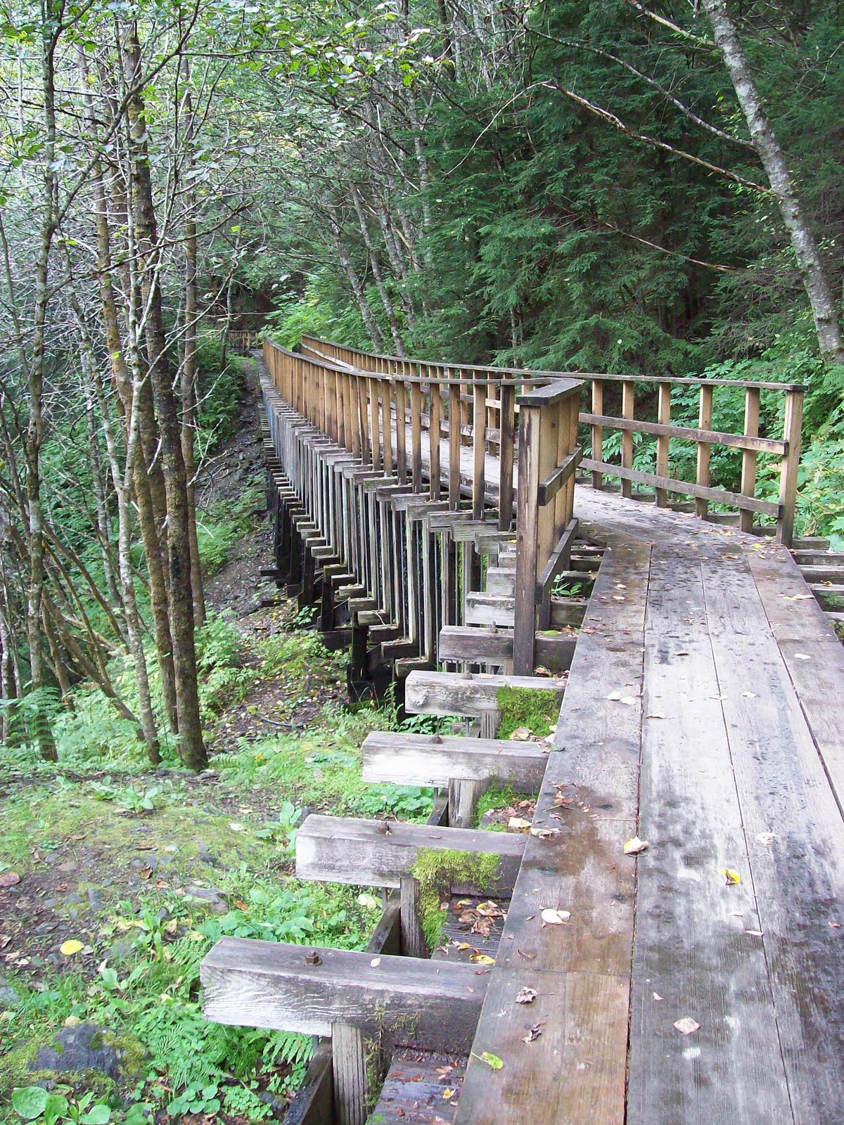 Bad Ass Gold Mining Gold Creeks Flume Trail