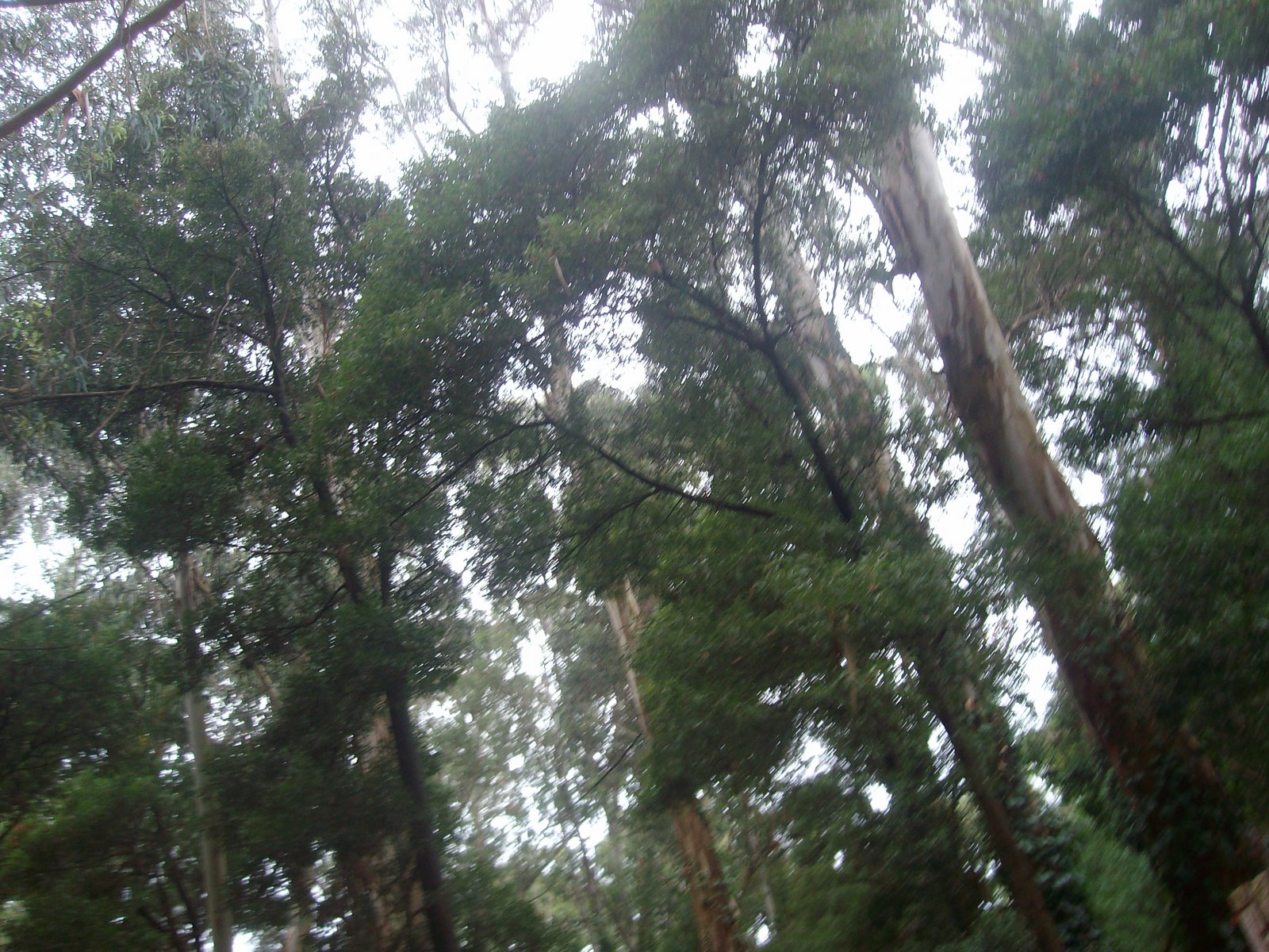 [SANY0328.JPG]