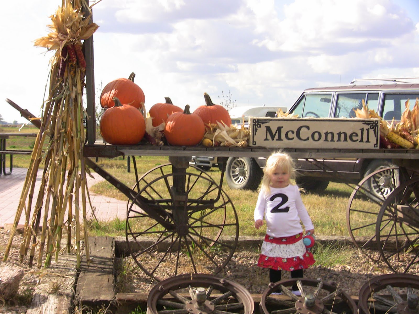 Barnyard Themed Party