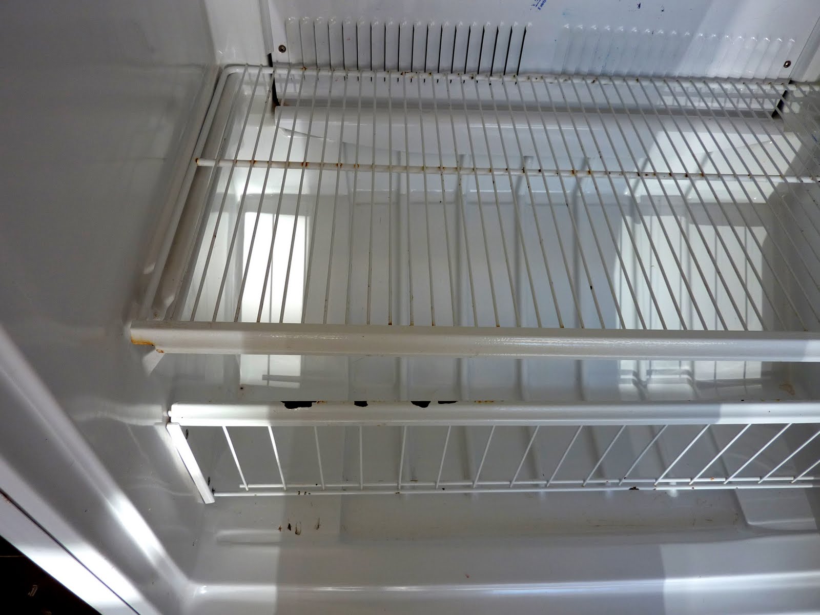 Spray Paint For Inside Freezer at Melvin Harman blog