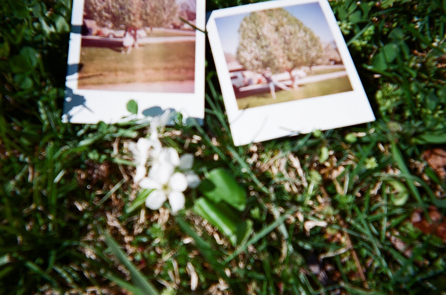 Throw Away Cameras 2 & 3