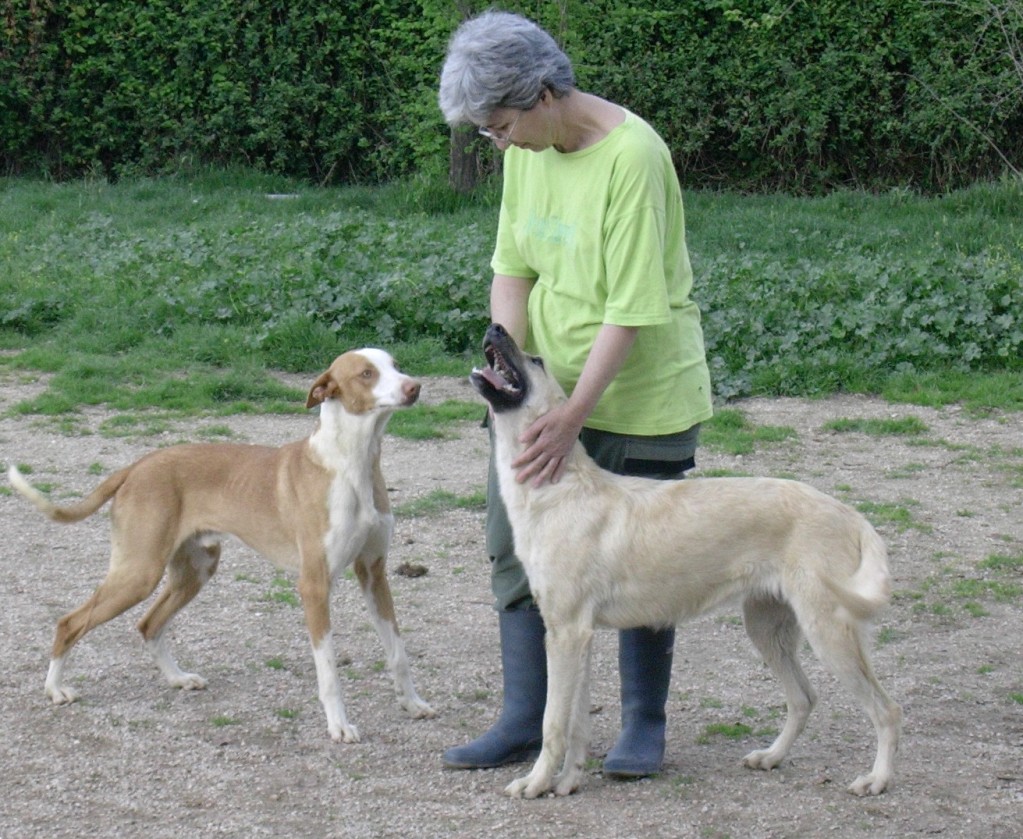 [Osina,+Manolo+e+Isabel.JPG]