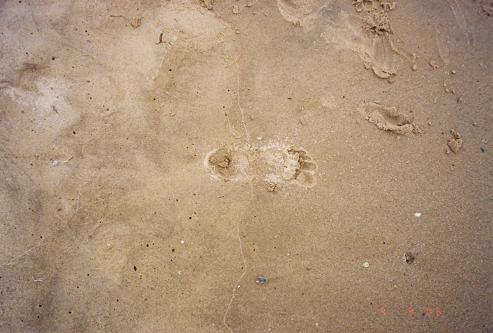 [FH000008.jpg]