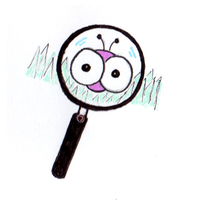 bug magnifying glass
