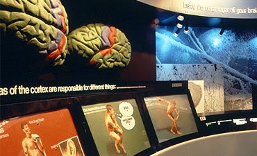 [psycho+nhm+londres.bmp]