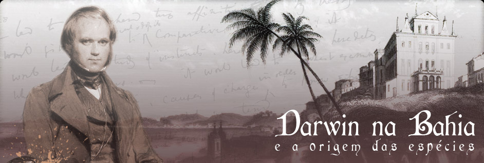 [darwin+na+bahia+2.jpg]