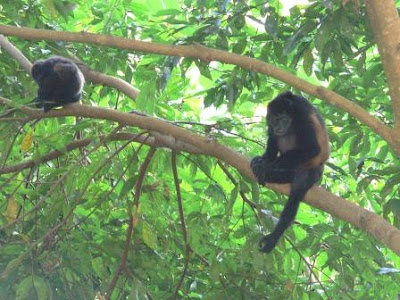 Exchange 2003 And Configuring Shared Calendars