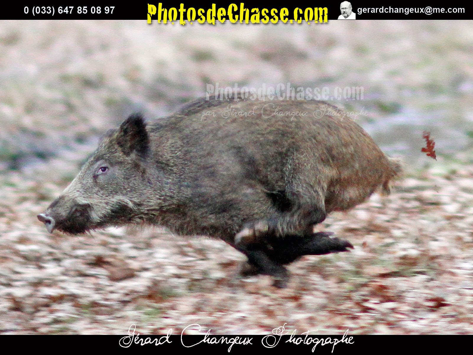 wohnwand braun schwarz 4 sterne motel züwealthy