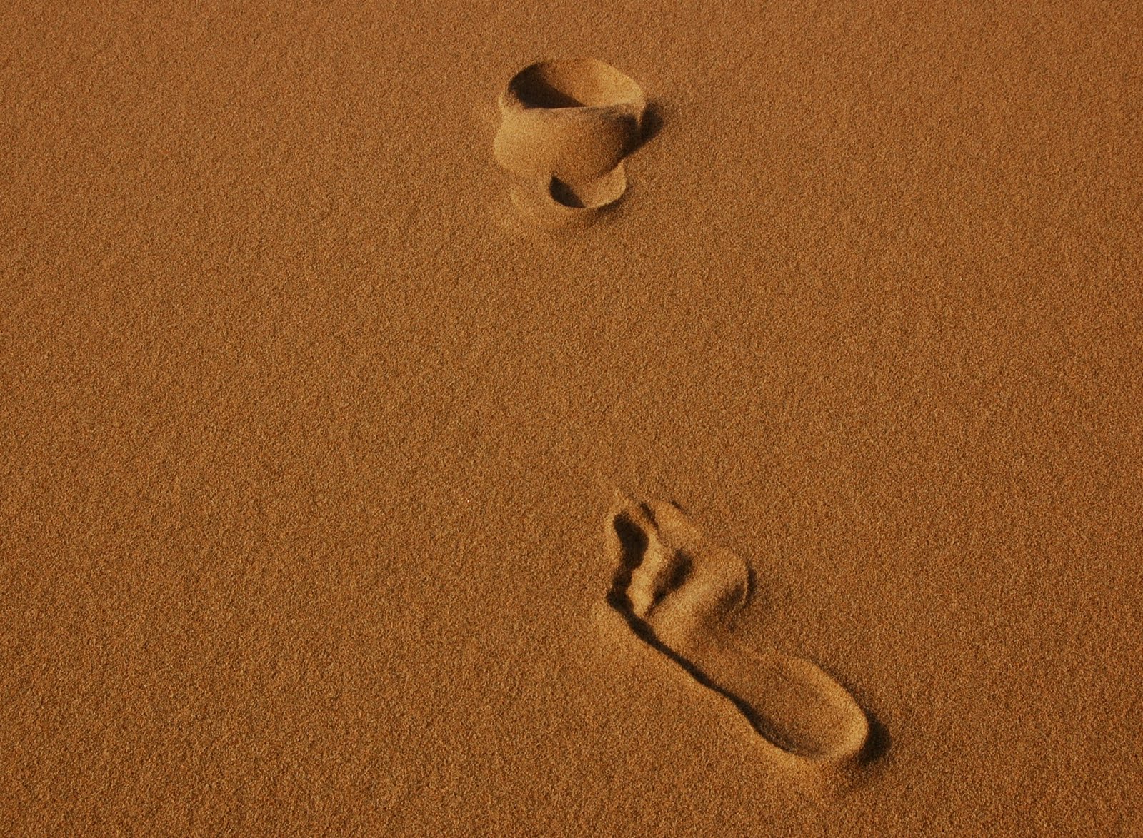 [DSC_0175.JPG]