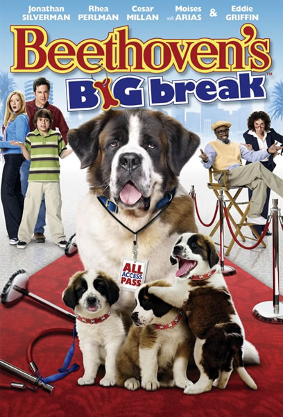 The Big Break movie