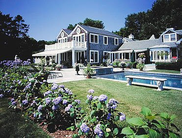 Limelight And Little Lime Hydrangea Great Shrubs For Any Garden