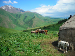 Hester i Kirgizisk fjellheim