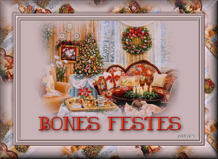 [EXTRAS+NAVIDAD1.BONES+FESTES.jpg]