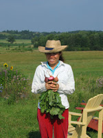 Middlebury College Organic Garden in Vermont for Renee's Garden Seeds
