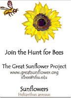 great sunflower project