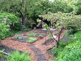 raised vegetable beds