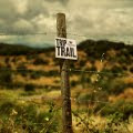 Trip Trail - Oficial WebSite