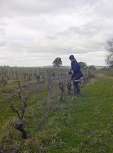 James hand-pruning Winter 2007