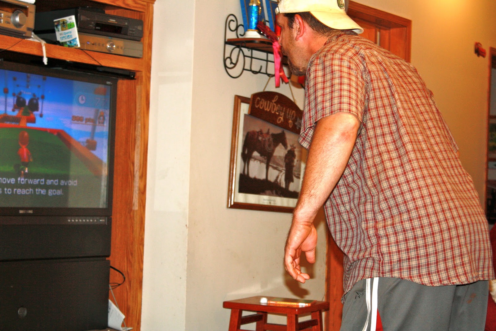 Wii Fun