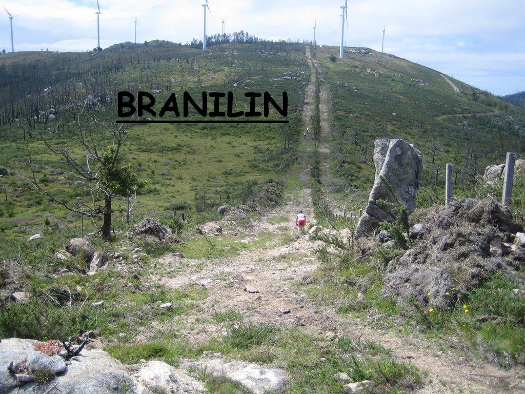 Branilin