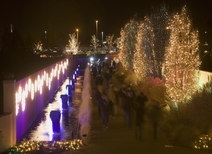 Ken Papaleo: X Marks the Shot: Blossoms of Lights, Botanic Gardens