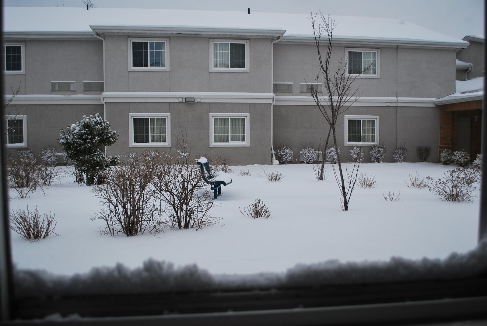 [DSC_0003.JPG]