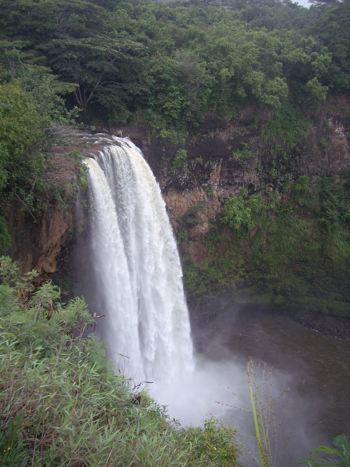 [IMGP4332.JPG]