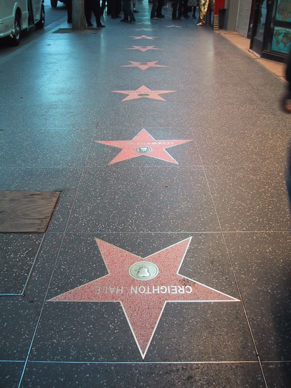 [204_HollywoodWalk.jpg]