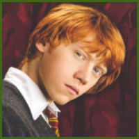 [ronpm4.PNG]