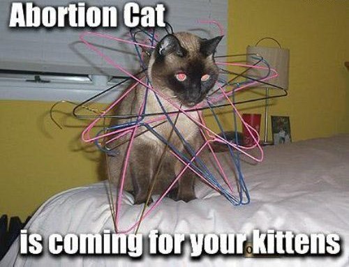 Funny Abortion