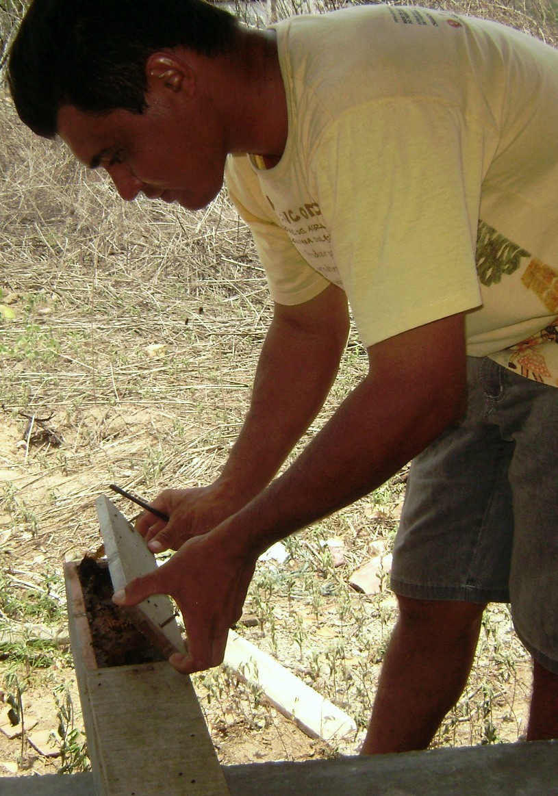 [everardo+e+as+meliponas.JPG]