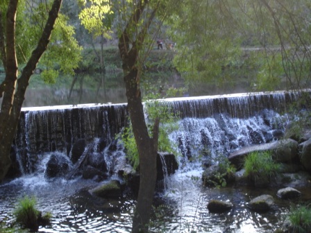 [DSC05587.JPG]