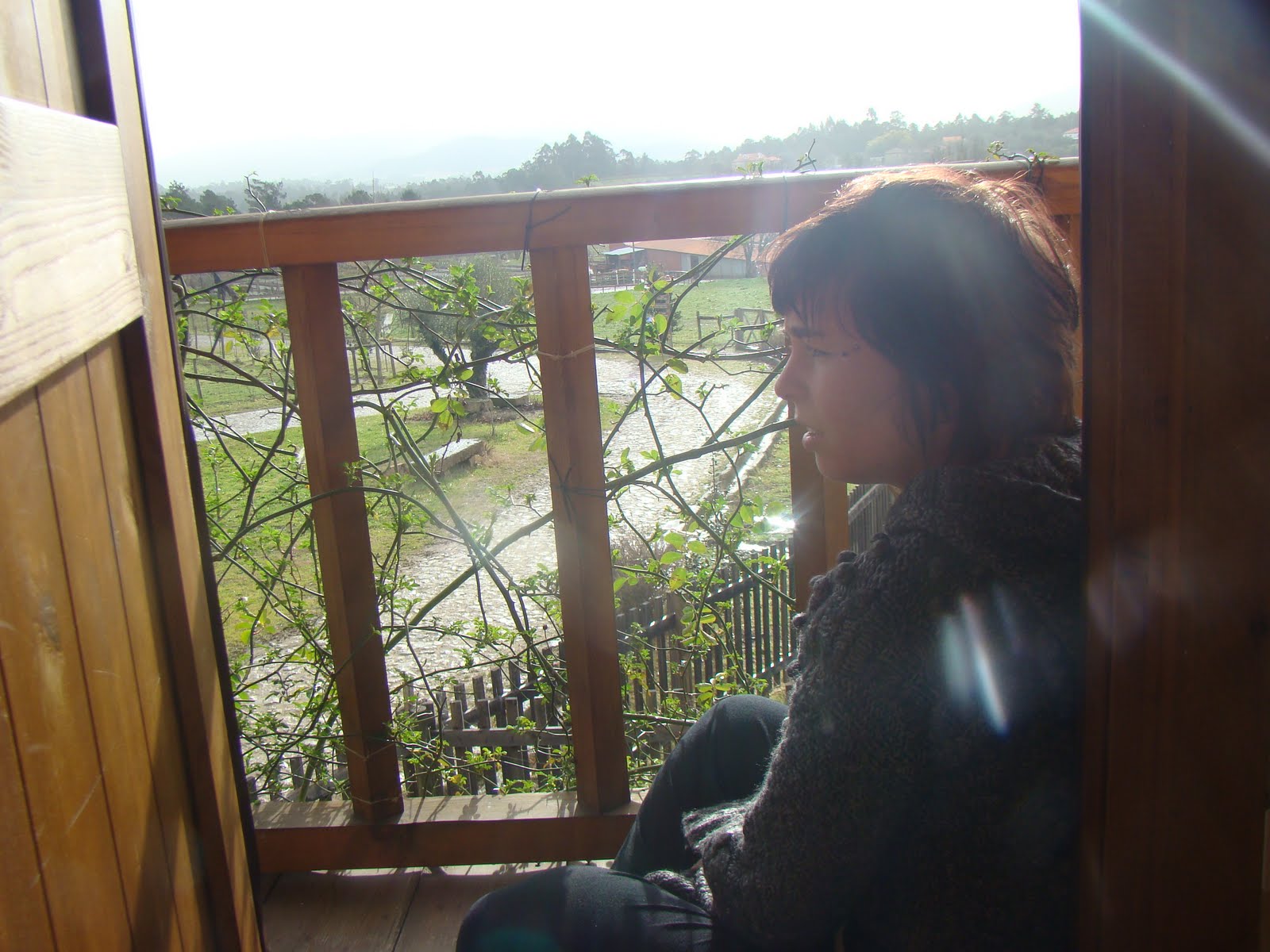 [DSC05152.JPG]