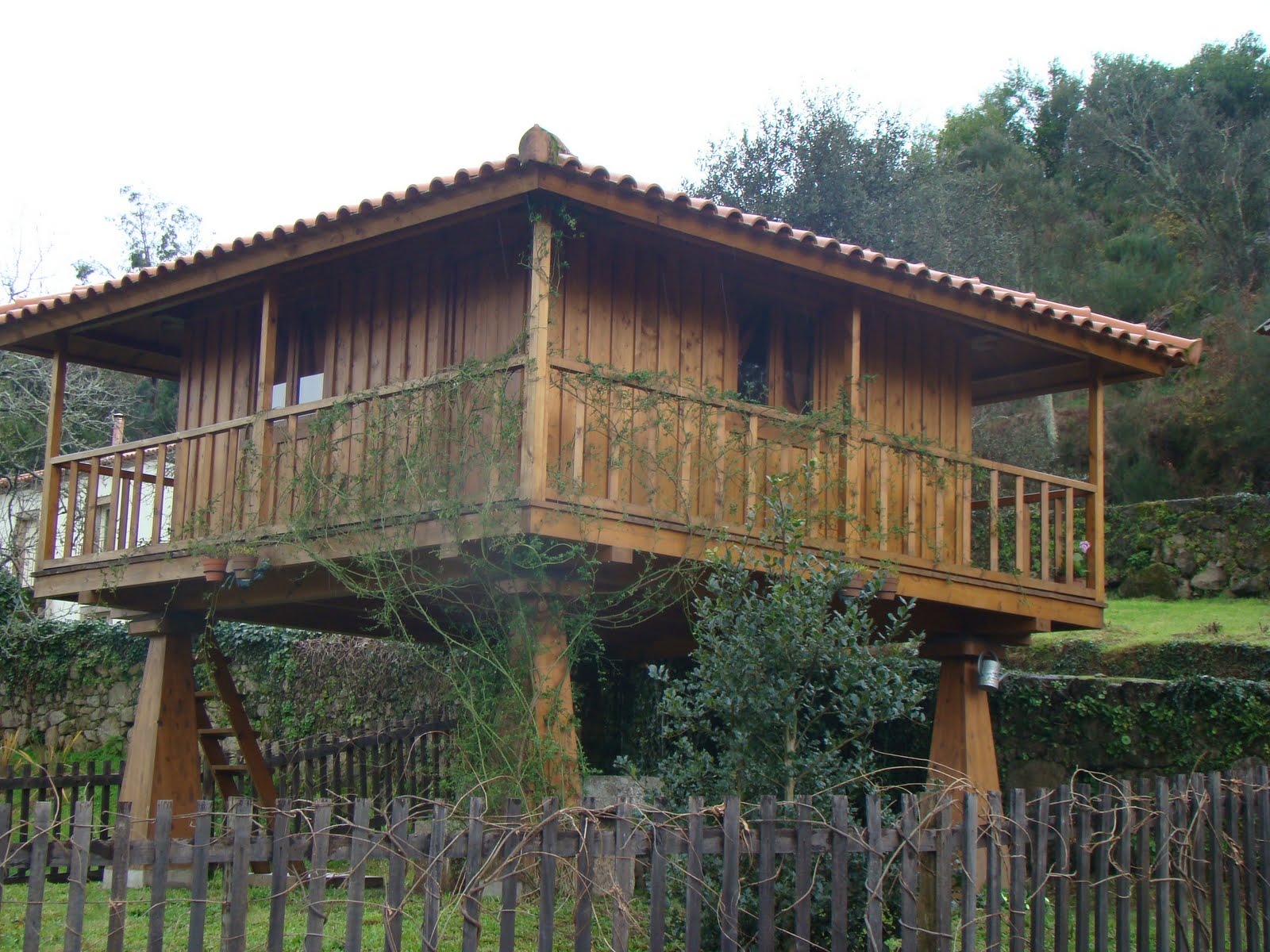 [DSC05165.JPG]