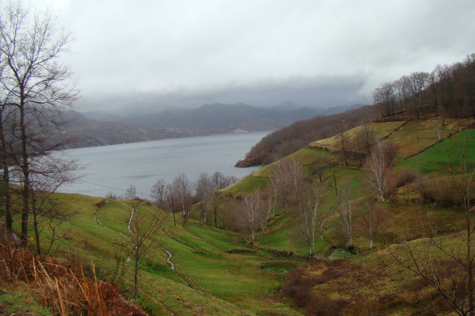 [DSC05297.JPG]