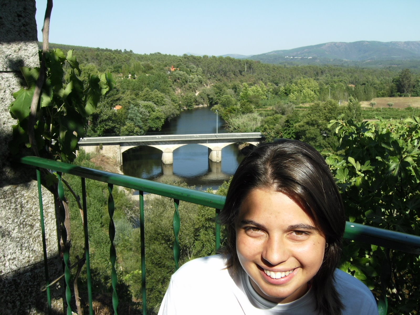 [PICT0120.JPG]
